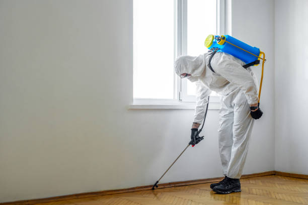 Best Pest Control for Multi-Family Homes  in New Tazewell, TN